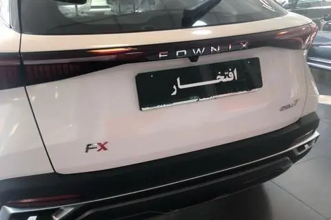 فونیکس، FX