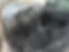 رنو  کولیوس