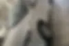 پژو، 207 صندوقدار