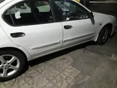 نیسان، ماکسیما