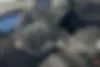 هایما  8S
