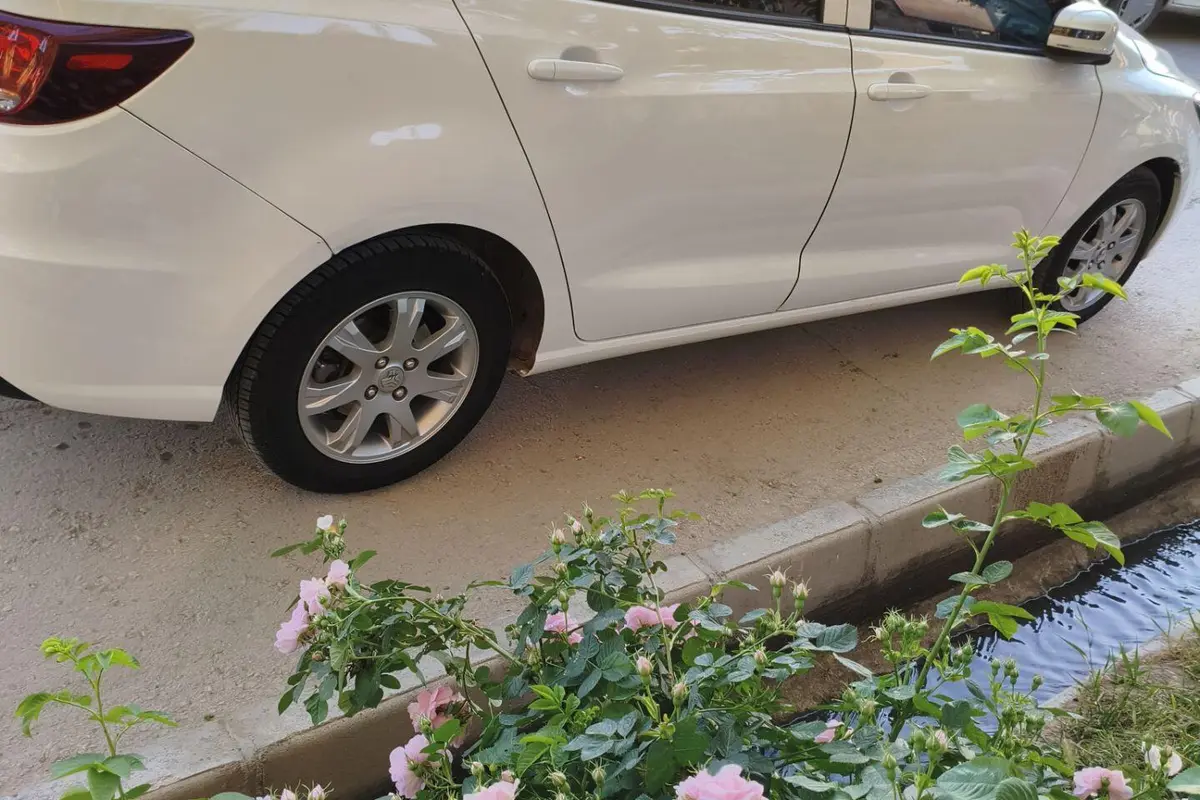 شاهین،  G دنده ای