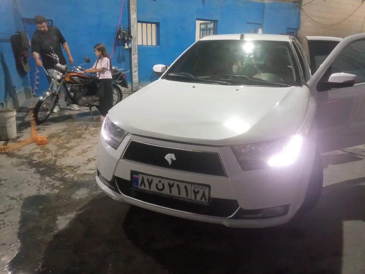 دنا،  معمولی
