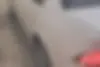 سمند،  سورن
