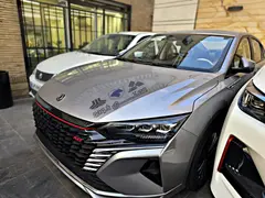 دانگ فنگ، شاین مکس