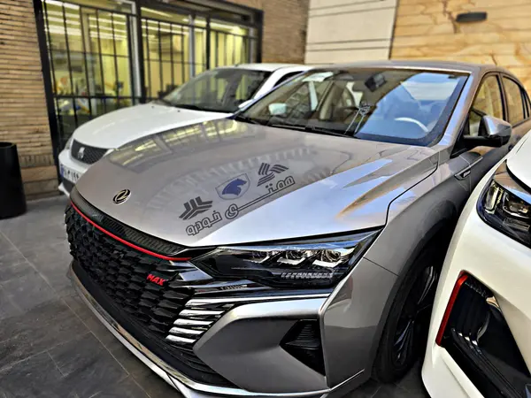 دانگ فنگ، شاین مکس