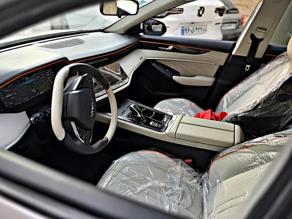 دانگ فنگ، شاین مکس