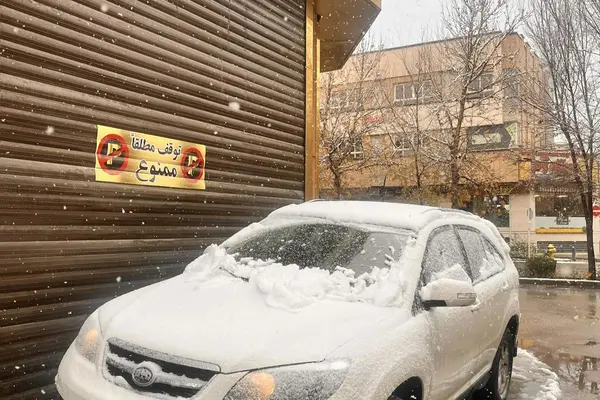 بی وای دی، S6