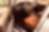 لکسوس،  LX