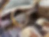 سمند،  LX