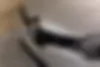 رنو، کپچر