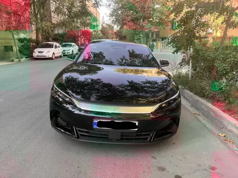 بی وای دی، هان DMi