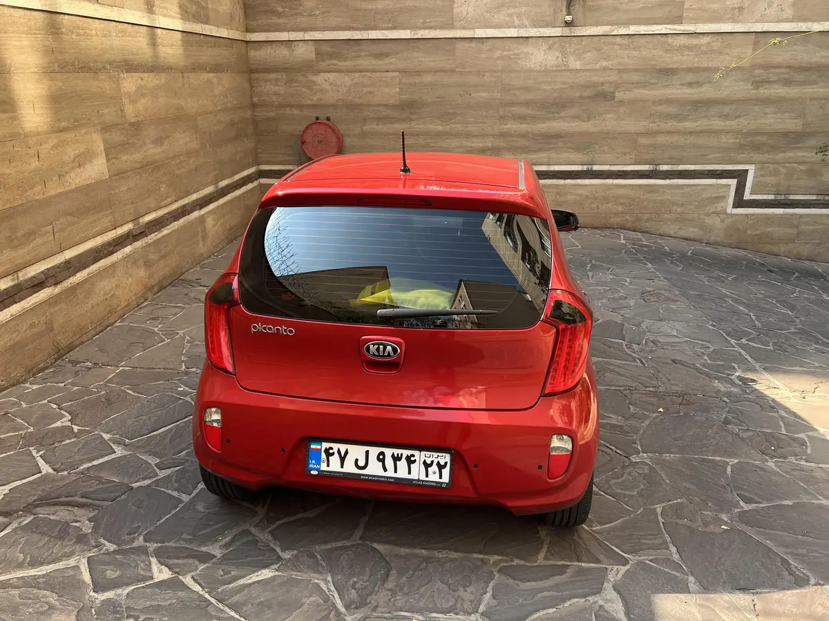 کیا،  پیکانتو