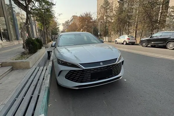 بی وای دی، چین L