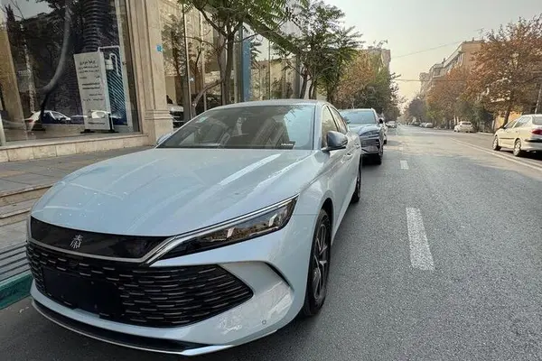 بی وای دی، چین L