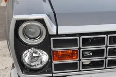 زامیاد، اکستند EX