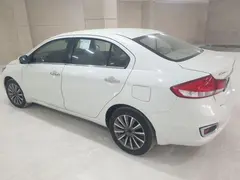 سوزوکی، سیاز
