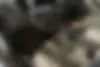 کیا،  کادنزا