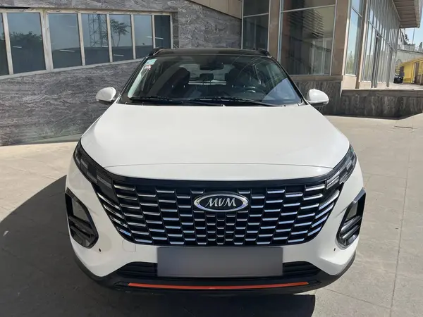 پیش فروش ام وی ام، X33 کراس