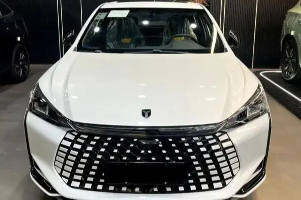 حواله لاماری، اکو