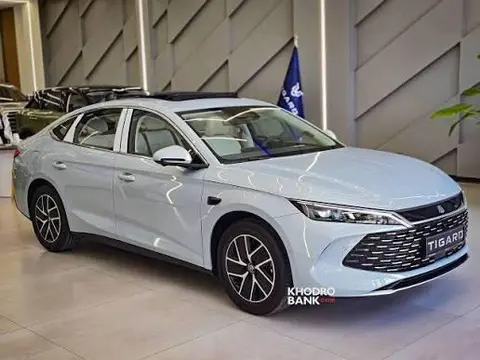 حواله بی وای دی، چین ال DMi