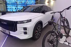 لوکانو، L7