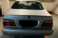 سانگ یانگ، چیرمن