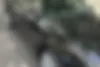 دنا  پلاس EF7P