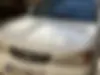 نیسان، ماکسیما