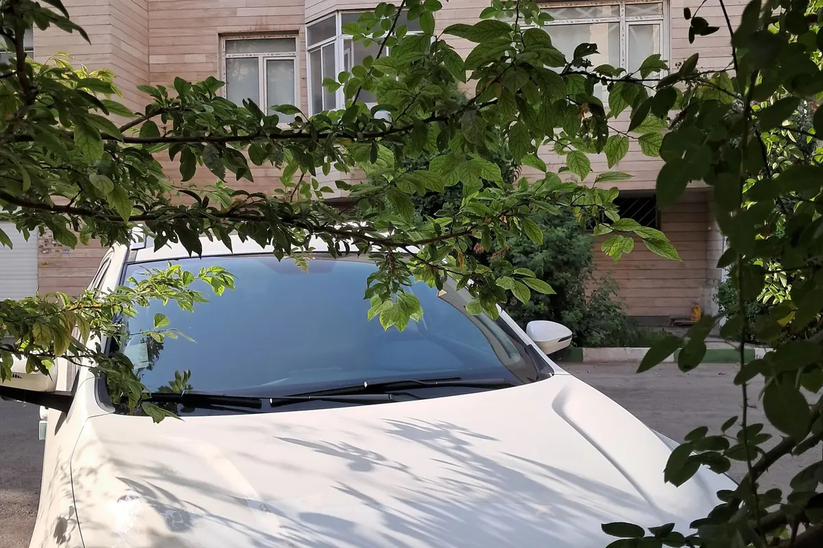 کی ام سی  X5