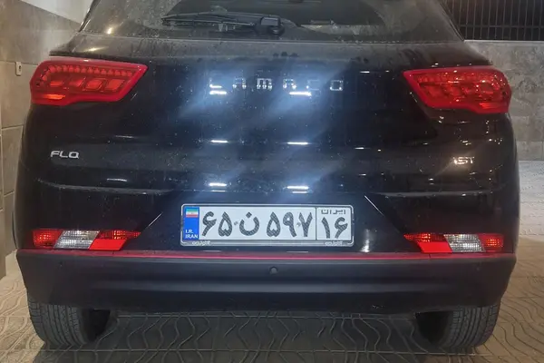 لاماکو، فلو