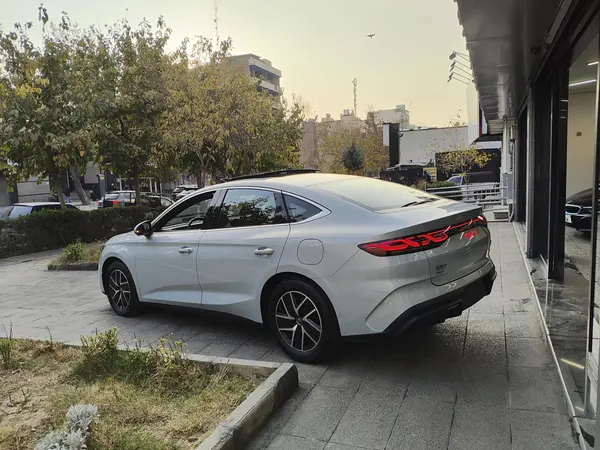 بی وای دی، چین L