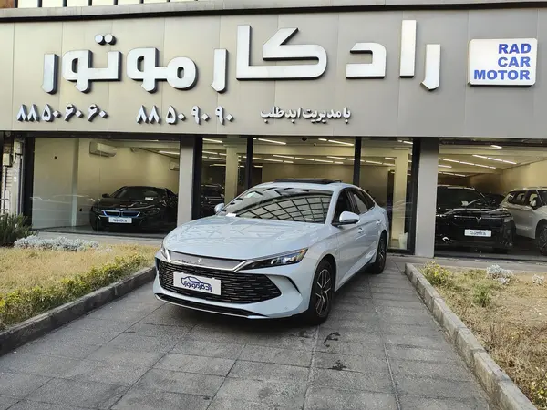 بی وای دی، چین L