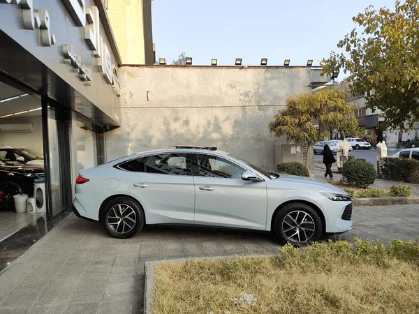 بی وای دی، چین L