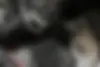 دنا  پلاس EF7