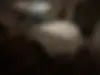 جک  جی 4