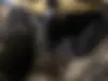 چری  آریزو 5T اسپرت FL