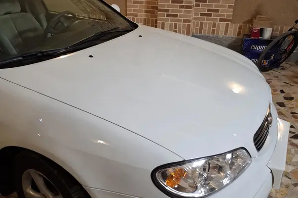 نیسان، ماکسیما