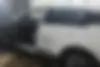 فونیکس،  تیگو 7 پرو