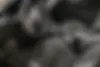 هوندا،  وزل