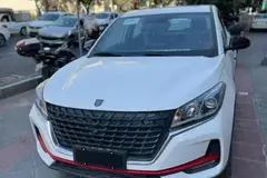 لاماکو، فلو