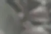 جک،  S3