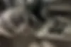 رنو،  کولیوس