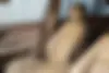 بنز  کلاس E