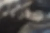 لاماری  ایما