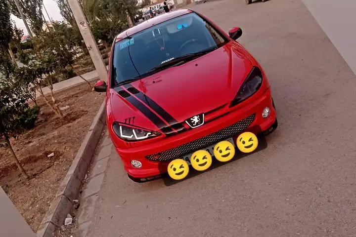 پژو،  206