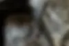 فونیکس  FX