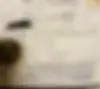 رنو،  داستر