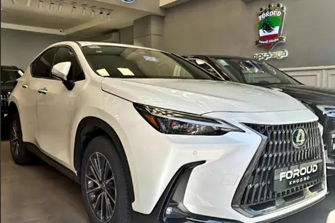 لکسوس، NX