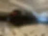 اپل، کورسا